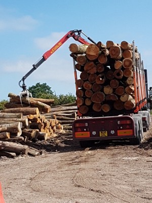 2018 Quality Firewood stocks available